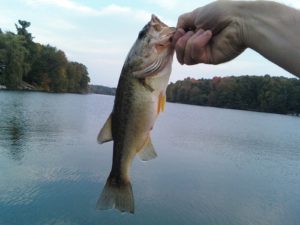 fishing lakes